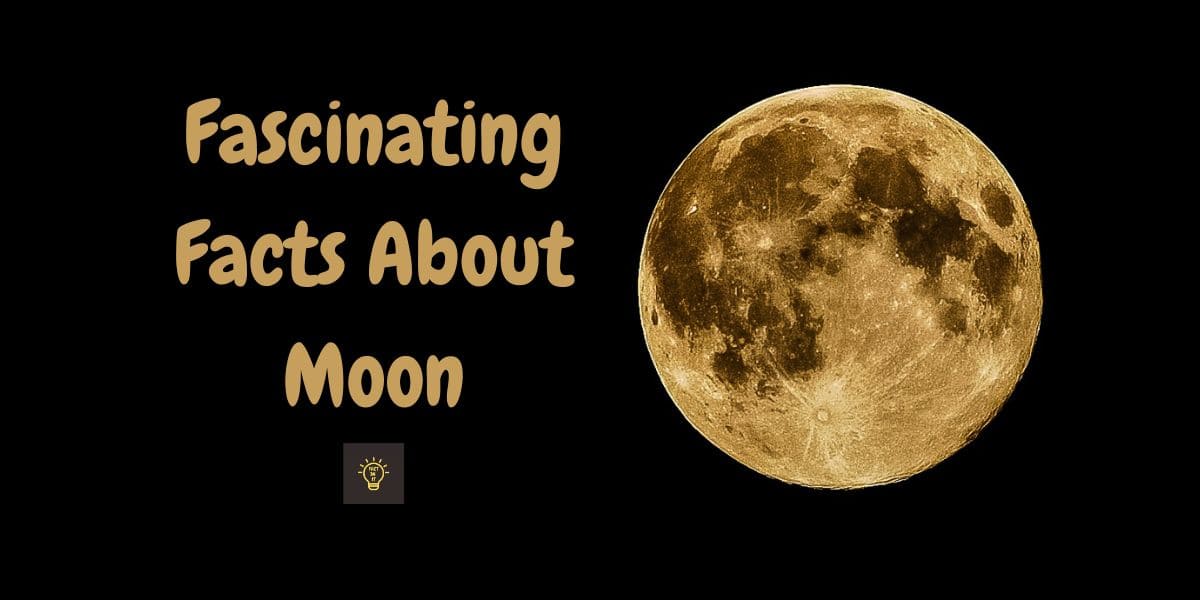 Facts about Moon