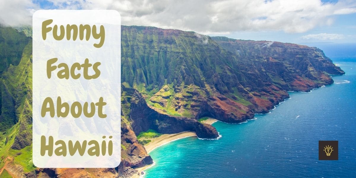 Funny Facts About Hawaii